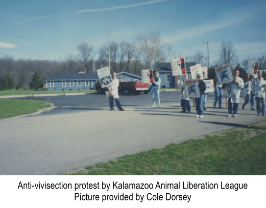 Screen Shot 2015-08-05 at 1.37.33 AM